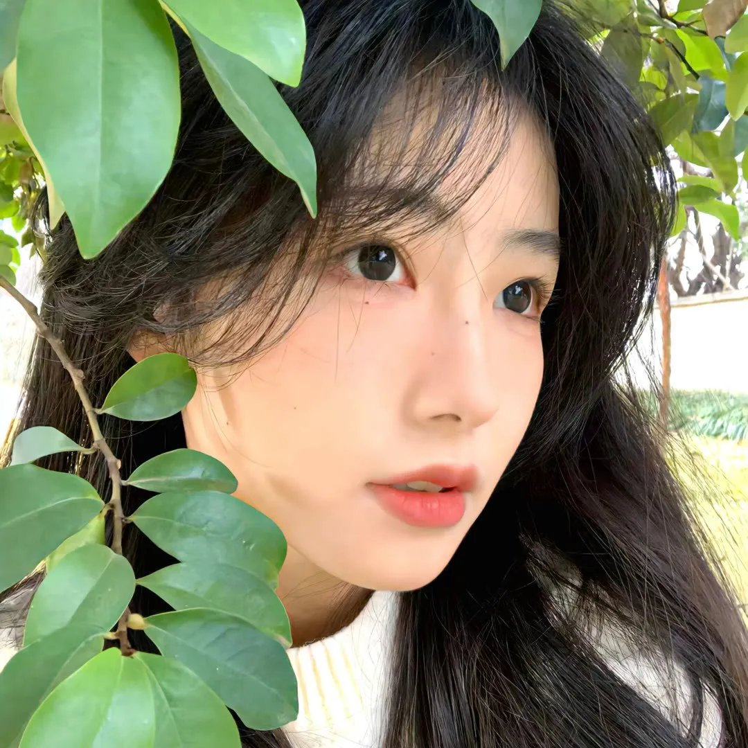 姐妹四城